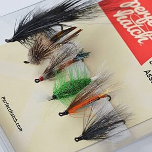 Fly Assortment Dry Flies Nymphs Fly Fishing Flies Kit