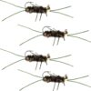 Tungsten Bead Jigged Pat's Rubber Legs Nymph Dry Flies Nymphs Fly Fishing Flies Kit