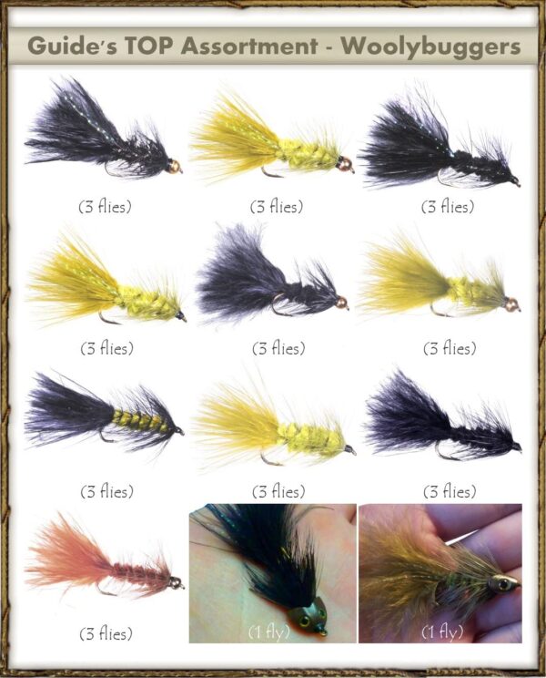 Top Selling Flies Guide's TOP Assortment Dry Flies Nymphs Fly Fishing Flies Kit