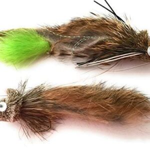 Fly Fishing Bass Pike Flies Set of 4 Large R Dry Flies Nymphs Fly Fishing Flies Kit