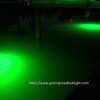 14 000 Lumen  Brilliant Green Double Lamp Und Fishing Artificial Bait Soft Plastic Lures - Image 2