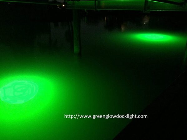 14 000 Lumen  Brilliant Green Double Lamp Und Fishing Artificial Bait Soft Plastic Lures - Image 2