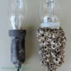 14 000 Lumen  Brilliant Green Double Lamp Und Fishing Artificial Bait Soft Plastic Lures - Image 3