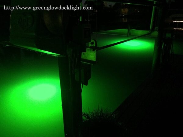 14 000 Lumen  Brilliant Green Double Lamp Und Fishing Artificial Bait Soft Plastic Lures - Image 6