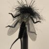 Realistic Stonefly Wings Set of 4 Sizes Dry Flies Nymphs Fly Fishing Flies Kit - Image 8
