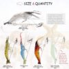 15 Pcs Soft Shrimp Lures Fishing Bait Luminou Fishing Artificial Bait Soft Plastic Lures - Image 2