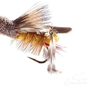 Hopper Fly Fishing Flies Assortment Kit with Dry Flies Nymphs Fly Fishing Flies Kit