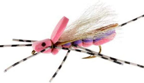 Hopper Fly Fishing Flies Assortment Kit with Dry Flies Nymphs Fly Fishing Flies Kit - Image 3