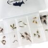 Mayfly Dry Fly Assortment Kit with Fly Box   Dry Flies Nymphs Fly Fishing Flies Kit