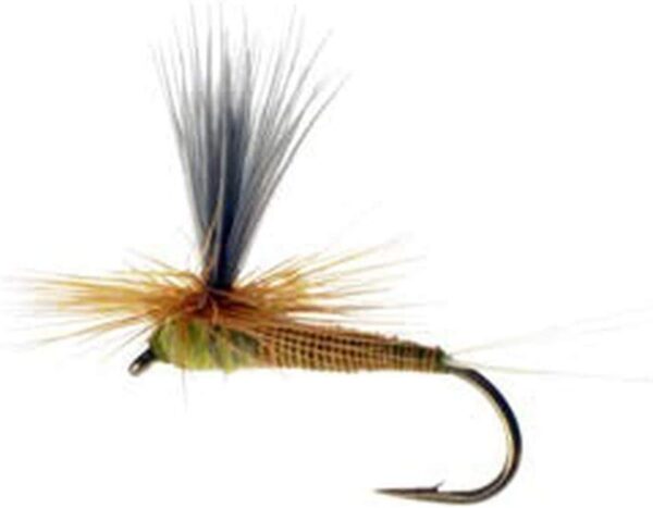 Mayfly Dry Fly Assortment Kit with Fly Box   Dry Flies Nymphs Fly Fishing Flies Kit - Image 6