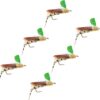 Top Hat Foam Hopper ?C 6 Pc Topwater Fly Fish Dry Flies Nymphs Fly Fishing Flies Kit