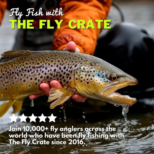 Boogie Man Articulated Streamer Size 2/0 f Dry Flies Nymphs Fly Fishing Flies Kit - Image 6