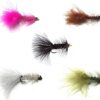 Bead Head Wooly Bugger Assortment  36 Fly Fi Dry Flies Nymphs Fly Fishing Flies Kit