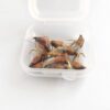 Sturdy Realistic Nymph Scud Flies  Fly Fishi Dry Flies Nymphs Fly Fishing Flies Kit - Image 4