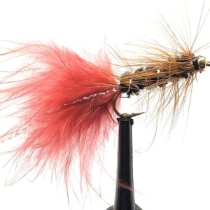 Wooly Bugger Fly Fishing Flies for Trout  Ba Dry Flies Nymphs Fly Fishing Flies Kit