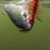 8pcs Wooly Bugger Flies Streamers Fly Fishin Dry Flies Nymphs Fly Fishing Flies Kit - Image 8
