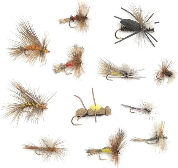 Fly Fishing Assortment 72 Dry Flies in 12  Dry Flies Nymphs Fly Fishing Flies Kit
