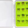 Best Assortment Flies Combo Carp Flies Wet T Dry Flies Nymphs Fly Fishing Flies Kit