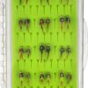 Best Assortment Flies Combo Carp Flies Wet T Dry Flies Nymphs Fly Fishing Flies Kit - Image 2