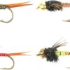 Best Assortment Flies Combo Carp Flies Wet T Dry Flies Nymphs Fly Fishing Flies Kit - Image 3