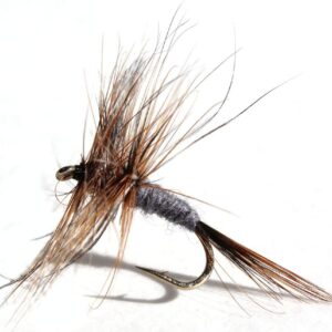 Adams Assortment Trout Fishing Flies (1-Doze Dry Flies Nymphs Fly Fishing Flies Kit