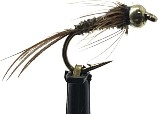 Bead Head Pheasant Tail Wet Flies  One Dozen Dry Flies Nymphs Fly Fishing Flies Kit
