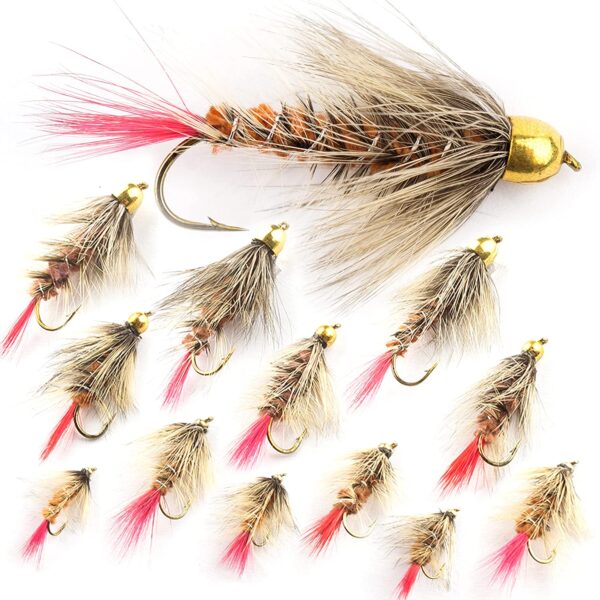 ?C 12 PC Bead Head Wooly Bugger Flies ?C Brown Dry Flies Nymphs Fly Fishing Flies Kit