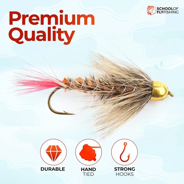 ?C 12 PC Bead Head Wooly Bugger Flies ?C Brown Dry Flies Nymphs Fly Fishing Flies Kit - Image 4