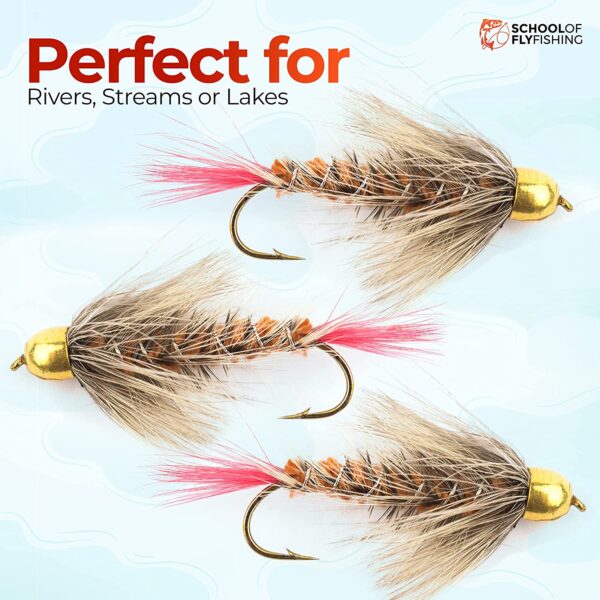 ?C 12 PC Bead Head Wooly Bugger Flies ?C Brown Dry Flies Nymphs Fly Fishing Flies Kit - Image 5