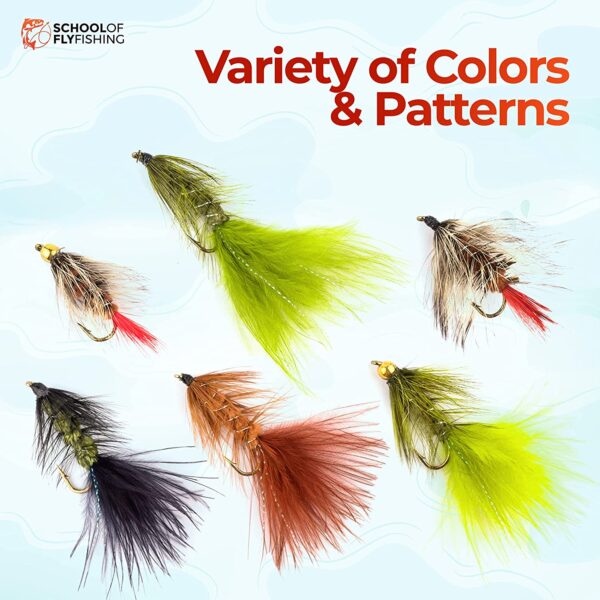 ?C 12 PC Bead Head Wooly Bugger Flies ?C Brown Dry Flies Nymphs Fly Fishing Flies Kit - Image 6