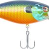 Warpig Fishing Hard in Oz Fishing Artificial Bait Soft Plastic Lures
