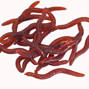 100PCS Worms Soft Fishing Lure Baits Fishing Artificial Bait Soft Plastic Lures