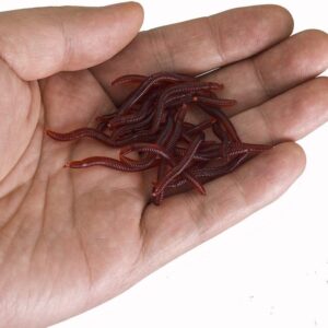 100PCS Worms Soft Fishing Lure Baits Fishing Artificial Bait Soft Plastic Lures