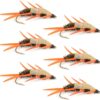Double Bead Peacock Stonefly Nymph with Ambe Dry Flies Nymphs Fly Fishing Flies Kit
