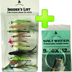 CatchyBee Saltwater Flies Assortment INSIDER Dry Flies Nymphs Fly Fishing Flies Kit