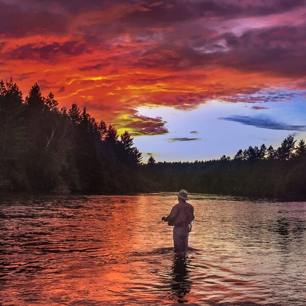 Adams Classic Trout Dry Fly Fishing Flies  Dry Flies Nymphs Fly Fishing Flies Kit - Image 3