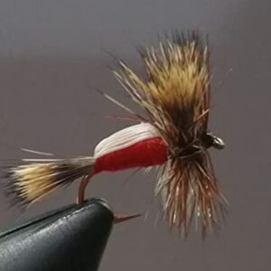 1 Dozen Red Humpy Dry Fly Trout by G Dry Flies Nymphs Fly Fishing Flies Kit