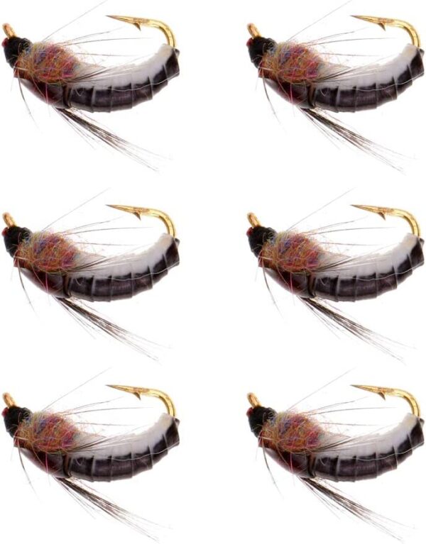 6pcs Fly Fishing Flies Brown Scud 1.4cm Dry Flies Nymphs Fly Fishing Flies Kit