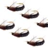 6pcs Fly Fishing Flies Brown Scud 1.4cm Dry Flies Nymphs Fly Fishing Flies Kit - Image 3