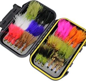 Wild Water Fly Fishing 36 Wooly Bugger Flies Dry Flies Nymphs Fly Fishing Flies Kit