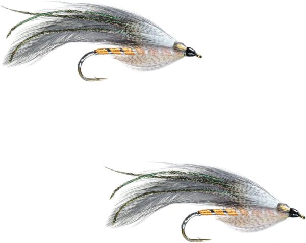 Gray Ghost 2 Pack Dry Flies Nymphs Fly Fishing Flies Kit