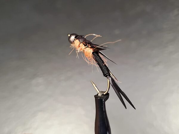 Bead Head Stonefly Nymph  Steelhead Nymph  B Dry Flies Nymphs Fly Fishing Flies Kit - Image 6