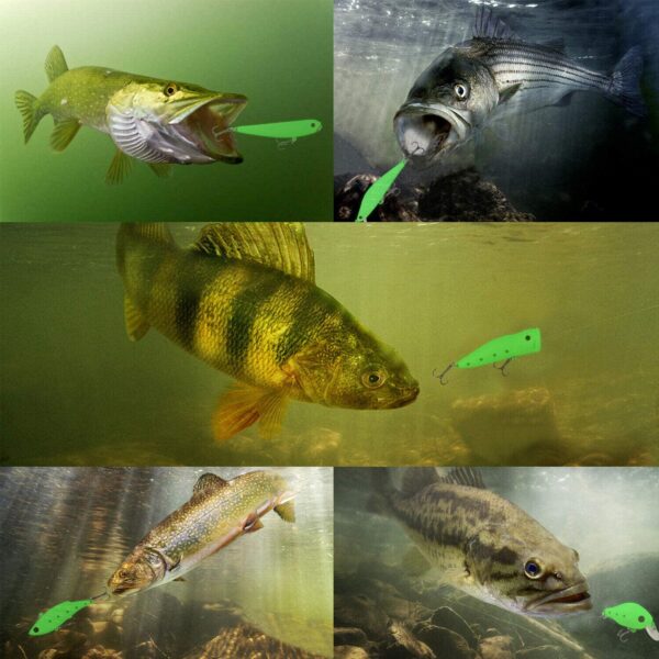 Night Glow Fishing Lure Bait Kit - 5/10pcs No Fishing Artificial Bait Soft Plastic Lures - Image 7