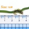 Fishing Lures 10PCS San Juan Worm Brass Be Dry Flies Nymphs Fly Fishing Flies Kit - Image 5