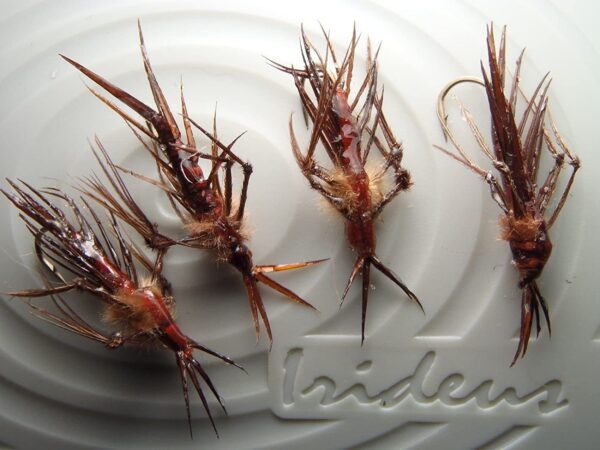 4 Horner's Leggy Hellgrammite Dobsonfly Larv Dry Flies Nymphs Fly Fishing Flies Kit