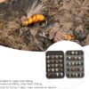 Fly Fishing Lure  Fly Lure with Hook  ABS 40 Dry Flies Nymphs Fly Fishing Flies Kit - Image 7