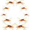 Basics Collection Kaufmann's Golden Stonef Dry Flies Nymphs Fly Fishing Flies Kit