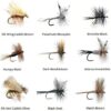 Fly Fishing Lures  36pc in 18 Patterns (2 of Dry Flies Nymphs Fly Fishing Flies Kit - Image 2