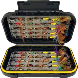 OutdoorFishing Fly Fishing Flies Kit Fly Ass Dry Flies Nymphs Fly Fishing Flies Kit