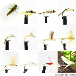Pale Morning Dun/Pale Evening Dun Fly Select Dry Flies Nymphs Fly Fishing Flies Kit